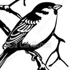 Picture for song 'His Eye Is On the Sparrow (Spiritual) Eng-Pol' by artist 'Jay Droz'