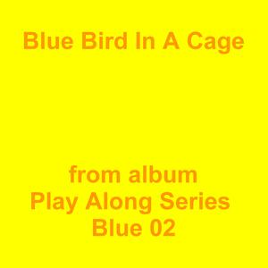 Picture for song 'Blue Bird In A Cage' by artist 'Jean-Marc Lozach'