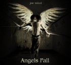 Picture for song 'Angels Fall' by artist 'Joe Mizzi'