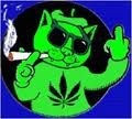 Picture for song 'Cool Kat' by artist 'Joe Tha Chemist'