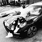 Picture for song 'NxggaLikeMe' by artist 'LavishDieRich'