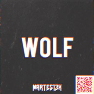 Picture for song 'Wolf 92 Bpm' by artist 'Martes13x'