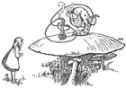 Picture for song 'White Rabbit' by artist 'Mary Clare Springer'