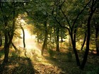 Picture for song 'Morning' by artist 'Matthew Scott Phillips'
