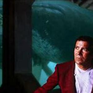 Picture for song '6 23 2023 ERIC JOHNSON CLAPTON TRIBUTE' by artist 'mcmakktenicetxtheprince'