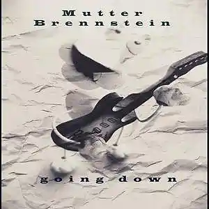 Picture for song 'Mutter Brennstein_ going down' by artist 'Mutter Brennstein'