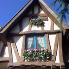 Picture for song ''I Believe In Fairytales'' by artist 'Nadia Cripps'