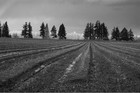 Picture for song 'Slate Grey Skies' by artist 'Open Heart Trouble'