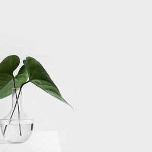 Picture for song 'No Limit' by artist 'P.R Beats'