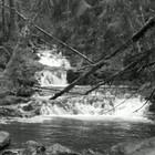 Picture for song 'Pieces Remain' by artist 'Q Studio'