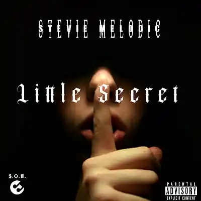 Picture for song 'little secret' by artist 'StevieMelodic'