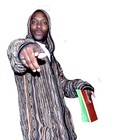 Picture for song 'Wozart feat CAP - Where I'm From' by artist 'Rude Boyz Official'