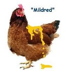 Picture for song 'mustardonchicken.mp3' by artist 'Slinky Slunker'