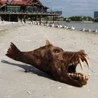 Picture for song 'Lostling' by artist 'Sodderpot'