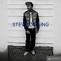 Picture for song '*SPACE GLIDE*' by artist 'StevoDaKing'