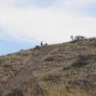 Picture for song '*NEW*People Watching Me W/hook' by artist 'TdotC Productions'