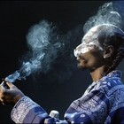 Picture for song '**NEW** Just Chill **SMOKERS BEAT**' by artist 'Cooked Beats'