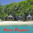 Picture for song 'Palm Peppers' by artist 'the PanCake Mafia'
