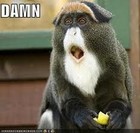 Picture for song 'Damn!!!' by artist 'TwizzzDaWiz'