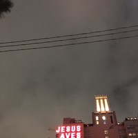 Picture for song 'gentle' by artist 'wilsonsbedsheets'