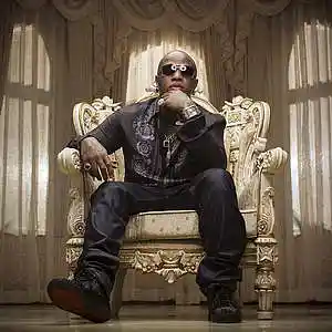 Picture for song 'Birdman' by artist 'Ardinar Beats'