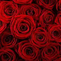 Picture for song 'Guwap' by artist 'CyrusBeats'