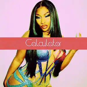 Picture for song 'Calculator (Megan Thee Stallion Type) - Devezin.co' by artist 'Devezin'