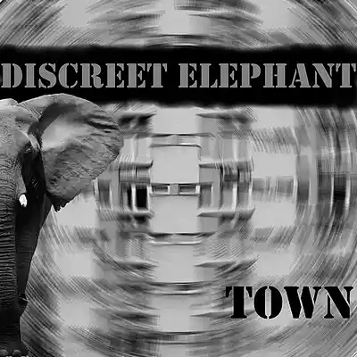 Picture for song 'DiscreetElephant-Town' by artist 'Discreet Elephant'