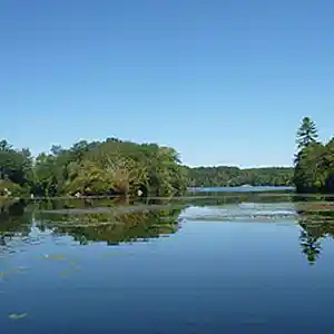 Picture for song 'Friday Night' by artist 'Douglas Kirby'