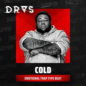 Picture for song 'Cold' by artist 'Dras On The Beat'