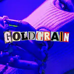 Picture for song 'PALM ANGELS - Trap Rap Beat - 135bpm Dmin' by artist 'Goldgrain'