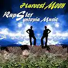 Picture for song 'HARVEST MOON' by artist 'joe nickerson'