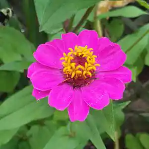 Picture for song 'You Can Lean (worktape)' by artist 'John Lobello'