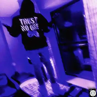 Picture for song '"Trust No One" - Splurge Type Beat Trap - MMXXIV' by artist '2k5 jaay'