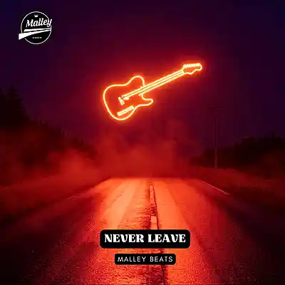Picture for song 'NEVER LEAVE [COUNTRY TYPE BEAT]' by artist 'Malley Beats'