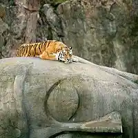 Picture for song 'Not My Problem' by artist 'Mummified Monk'