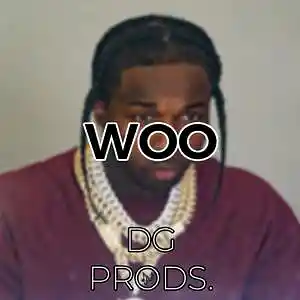 Picture for song 'DRILL - Woo' by artist 'ProdByDGProductions'