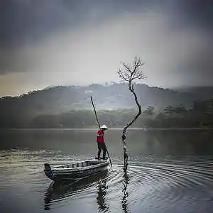 Picture for song 'Fisher Man' by artist 'GWBA Music'