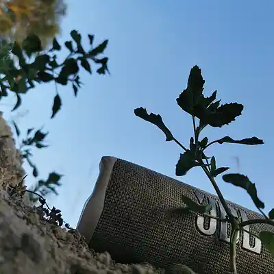 Picture for song '20250707_132146_FS_lOL' by artist '786 scheint-Al'lahs Bande'