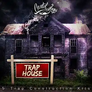 Picture for song 'Trappin type beat' by artist 'ChiefaGoKrazy'