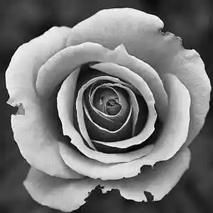 Picture for song 'Instrumental(Prod.QUESTION)' by artist 'Question'