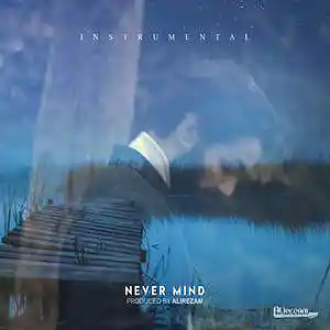 Picture for song 'never mind' by artist 'alirezam'