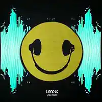 Picture for song 'you had it' by artist 'DNYSZ'
