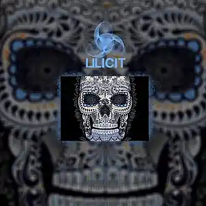 Picture for song 'Latino Beat Iraida' by artist 'ILLICIT MUSIC'