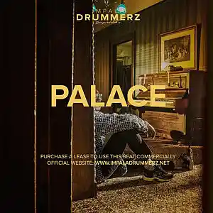Picture for song 'Palace' by artist 'IMPALA DRUMMERZ'