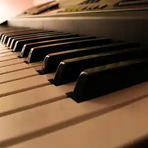 Picture for song 'What Do I Call This instrumental piano or march?' by artist 'Kaley Willow'