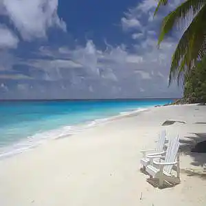 Picture for song 'Saxophone & Romantic Jazz (Instrumental)' by artist 'Kamileon'