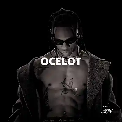 Picture for song 'Ocelot (Buy 1 Get 10 Free)' by artist 'Kontraa'