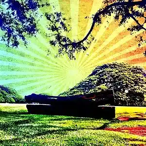 cover pic