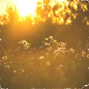 Picture for song '[FREE FOR PROFIT BEAT] WARM DAY (NO TAGS)' by artist 'ROGARDFUL'